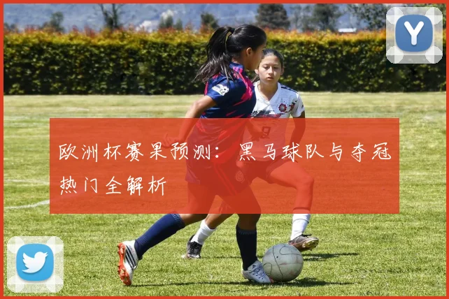欧洲杯赛果预测:黑马球队与夺冠热门全解析