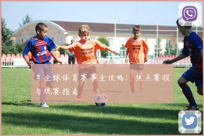 年全球体育赛事全攻略：焦点赛程与观赛指南